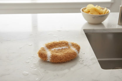 Football-shaped dish scrubber on a kitchen counter with a bowl of chips in the background